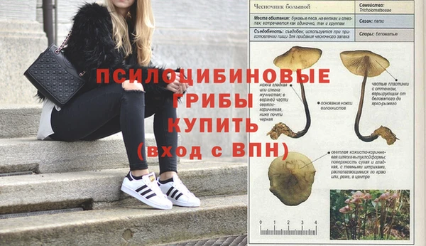 мдпв Вязники
