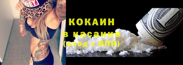 гашик Вязьма