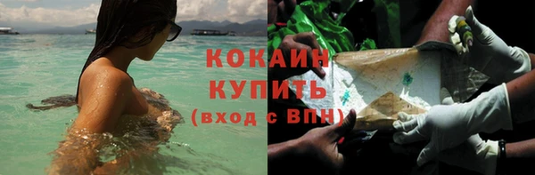 прущие грибы Горнозаводск
