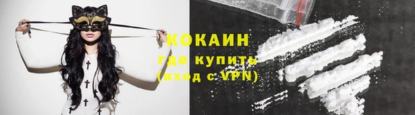 прущие грибы Горнозаводск