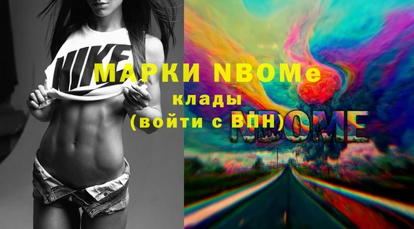 хмурый Горняк
