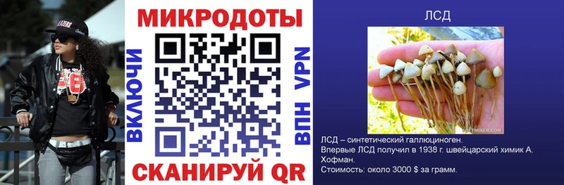 Галлюциногенные грибы прущие грибы Серпухов