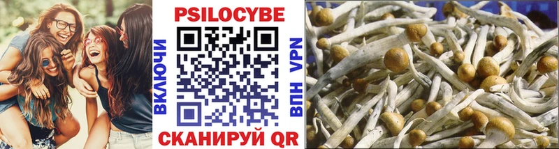 Галлюциногенные грибы Psilocybine cubensis  Серпухов 