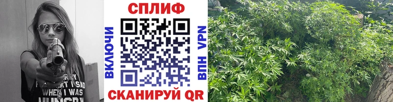 МАРИХУАНА VHQ  сколько стоит  Серпухов 